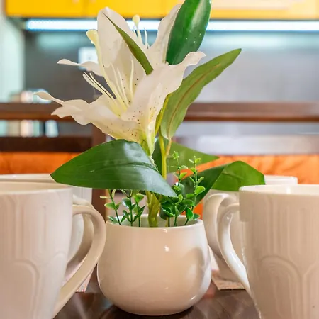 The Right Choice 10 Apartament *