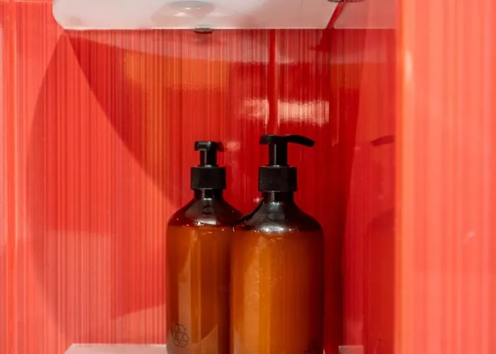 The Right Choice 10 Daire Sofya