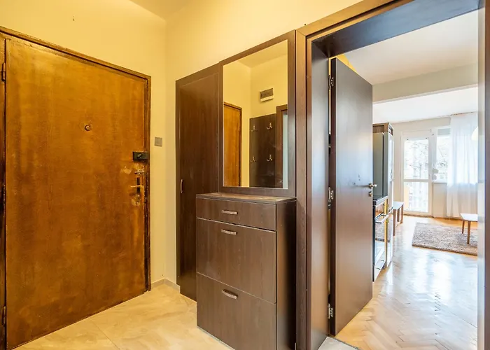 The Right Choice 10 Sofia