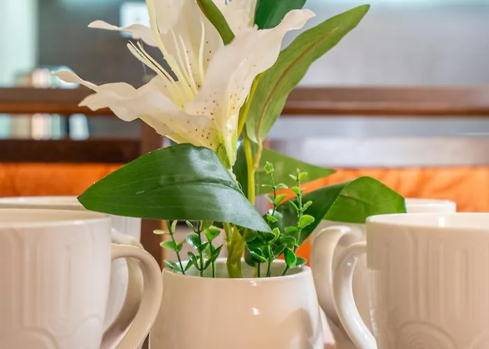 The Right Choice 10 Daire *