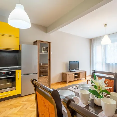 The Right Choice 10 *